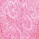 ST38000036 Fucsia-white
